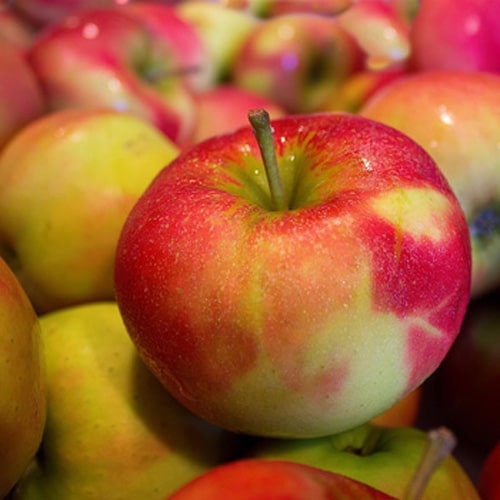 Apples