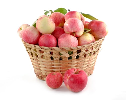 Fruits